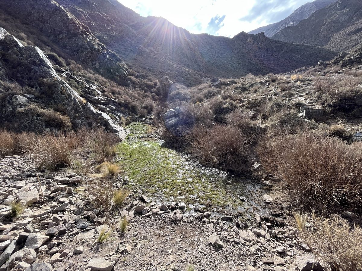 Día Mundial de los Humedales: la Reserva Natural Villavicencio celebra el patrimonio natural y cultural