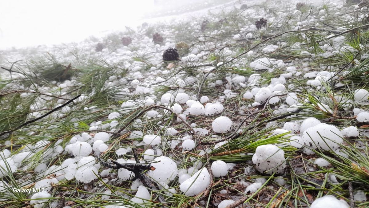 Las tormentas de granizo que afectaron al sur y este de la provincia provocaron la pérdida de más del 90% a 143 produtores que recibirán dinero del Seguro Agrícola por adelantado. 