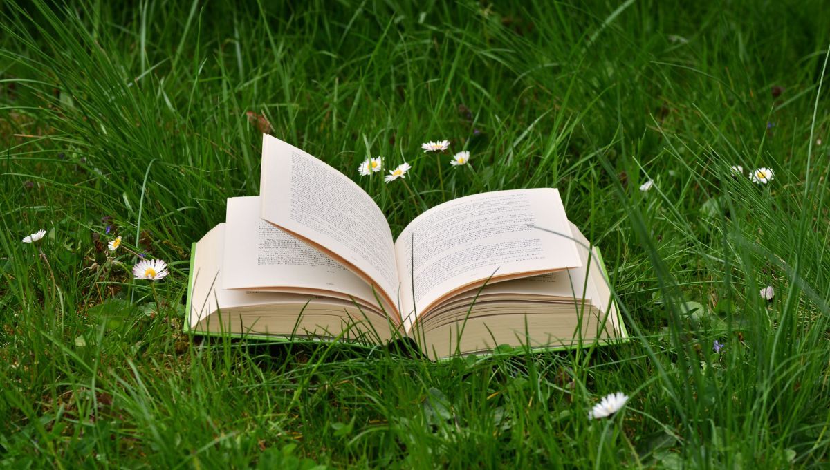 5 libros perfectos y entretenidos para leer en verano