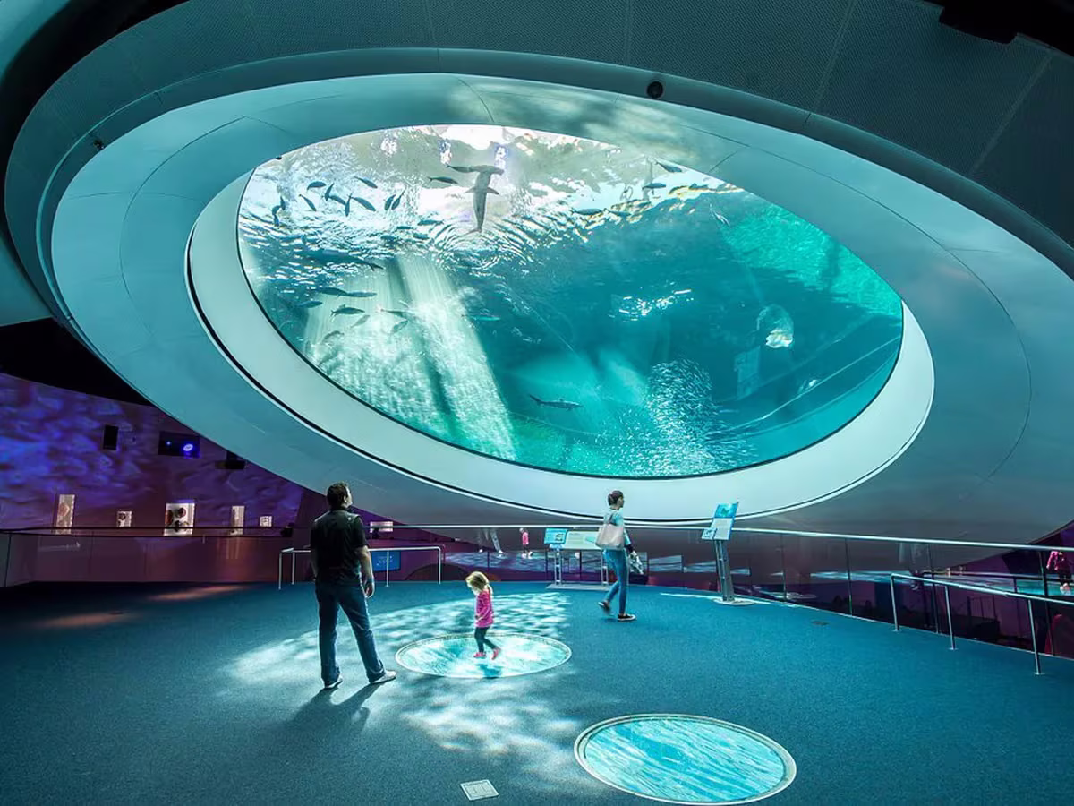 Podrás vivir la increíble experiencia de ir al espacio antes de que se termine el verano. Podrás vivir la increíble experiencia de ir al espacio antes de que se termine el verano.