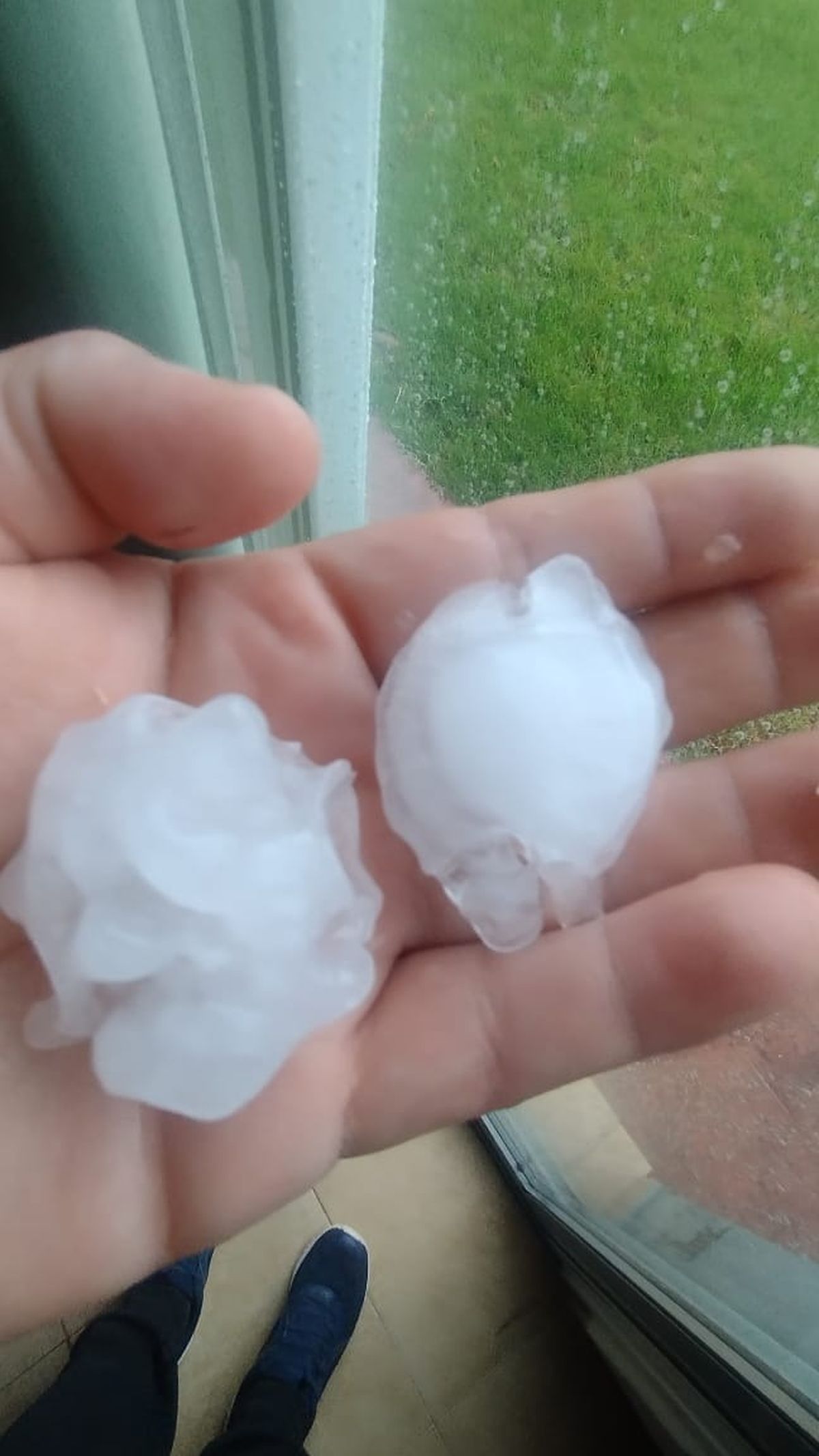 El tamaño del granizo que cayó en Lunlunta, Maipú. El tamaño del granizo que cayó en Lunlunta, Maipú.