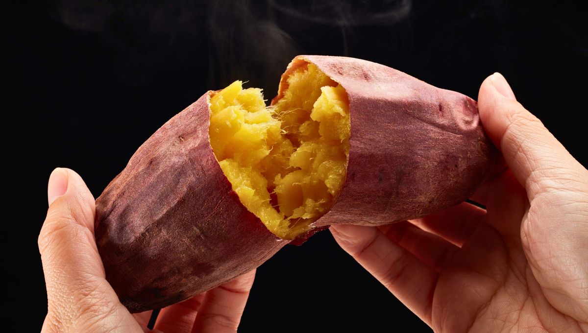 Son alimentos que resisten muy bien bajo tierra y contienen muchos nutrientes Son alimentos que resisten muy bien bajo tierra y contienen muchos nutrientes