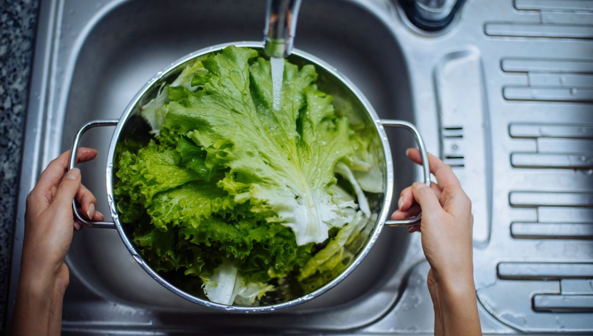 Antes de limpiar o desinfectar cualquier alimento