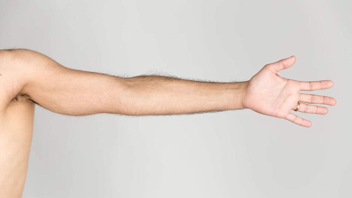La RAE define: la parte hundida del brazo opuesta al codo se llama sangradura o fosa del codo.