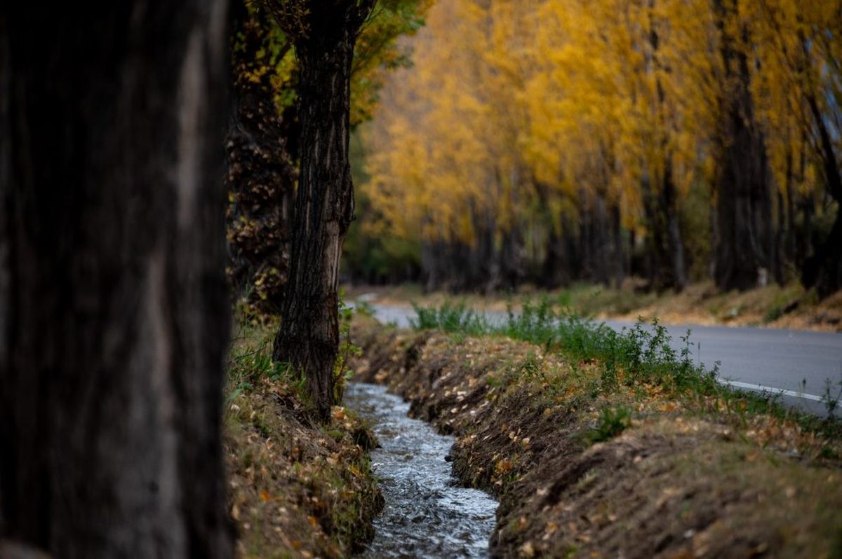 Las "Mansas Promos" siguen en otoño y en todas sus variables mantienen los precios de principios de año. Las "Mansas Promos" siguen en otoño y en todas sus variables mantienen los precios de principios de año. 