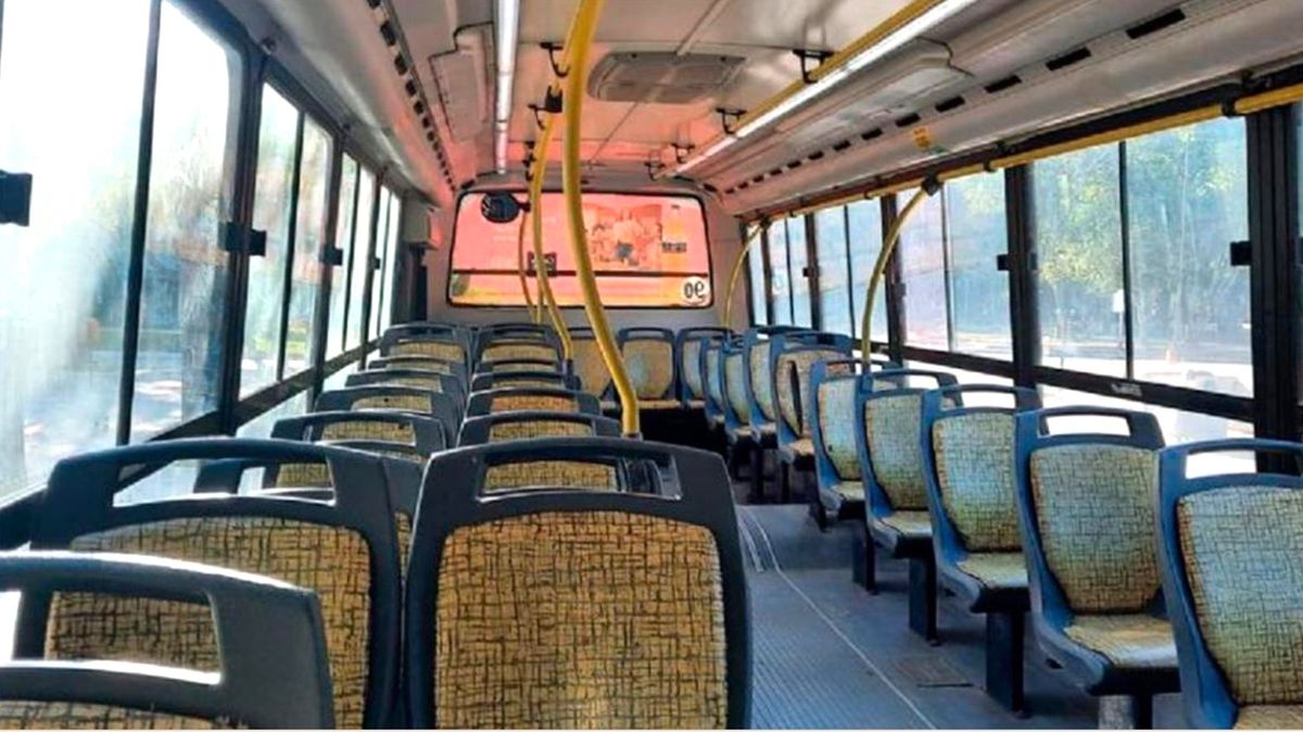 Degenerado: un hombre se masturbó frente a una docente arriba de un colectivo Degenerado: un hombre se masturbó frente a una docente arriba de un colectivo