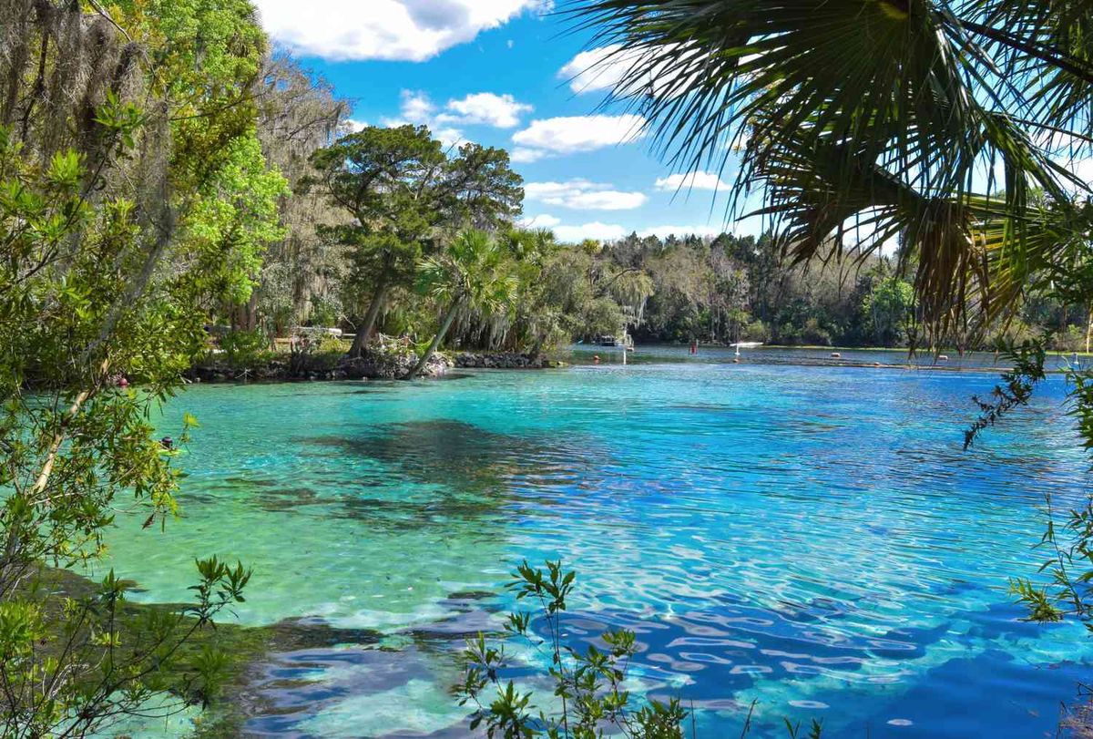 Esta ciudad de Florida tiene increíbles atracciones naturales.