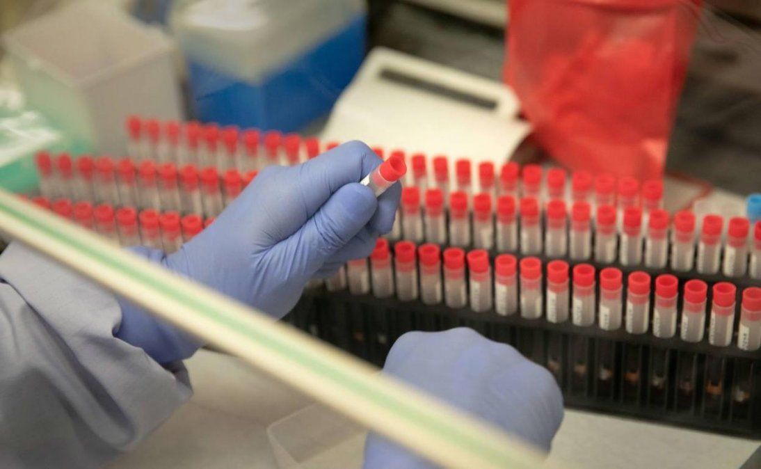 Descubrimiento. Afirman que los factores 0 son menos propensas a contagiarse Covid-19.