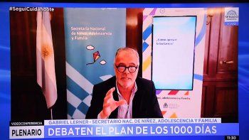 El Plan de los Mil Días para la asistencia de embarazos e infancia avanzó en el Senado