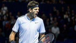 Que necesita Del Potro para meterse en el Master de Londres