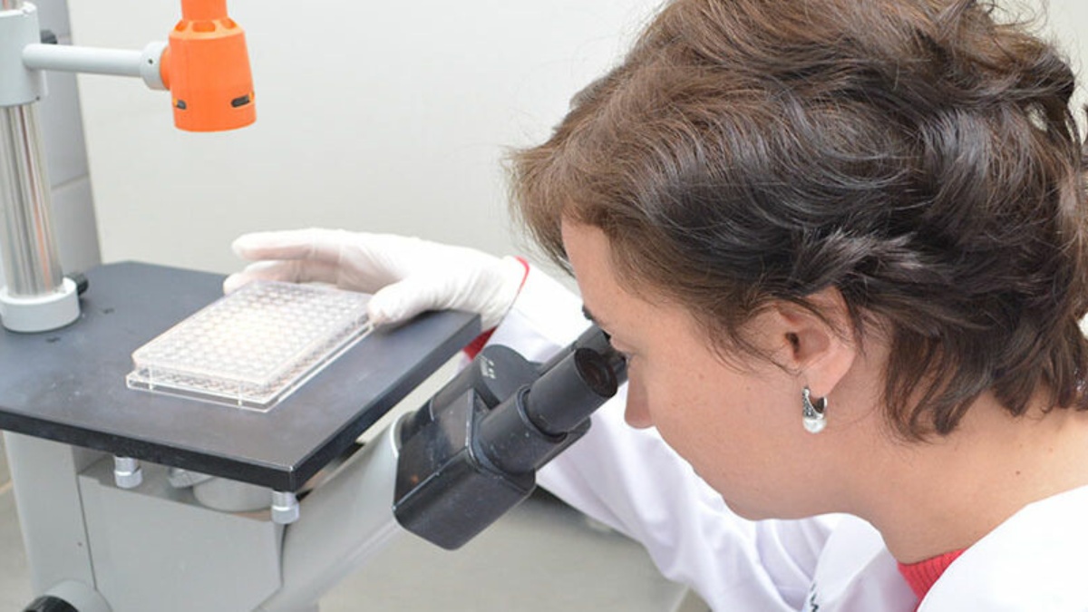 La investigación es de reparación del daño en ADN en cáncer de mama hereditario y optimización de la terapia dirigida. La investigación es de reparación del daño en ADN en cáncer de mama hereditario y optimización de la terapia dirigida.