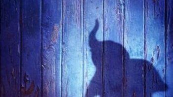 El mágico tráiler de Dumbo