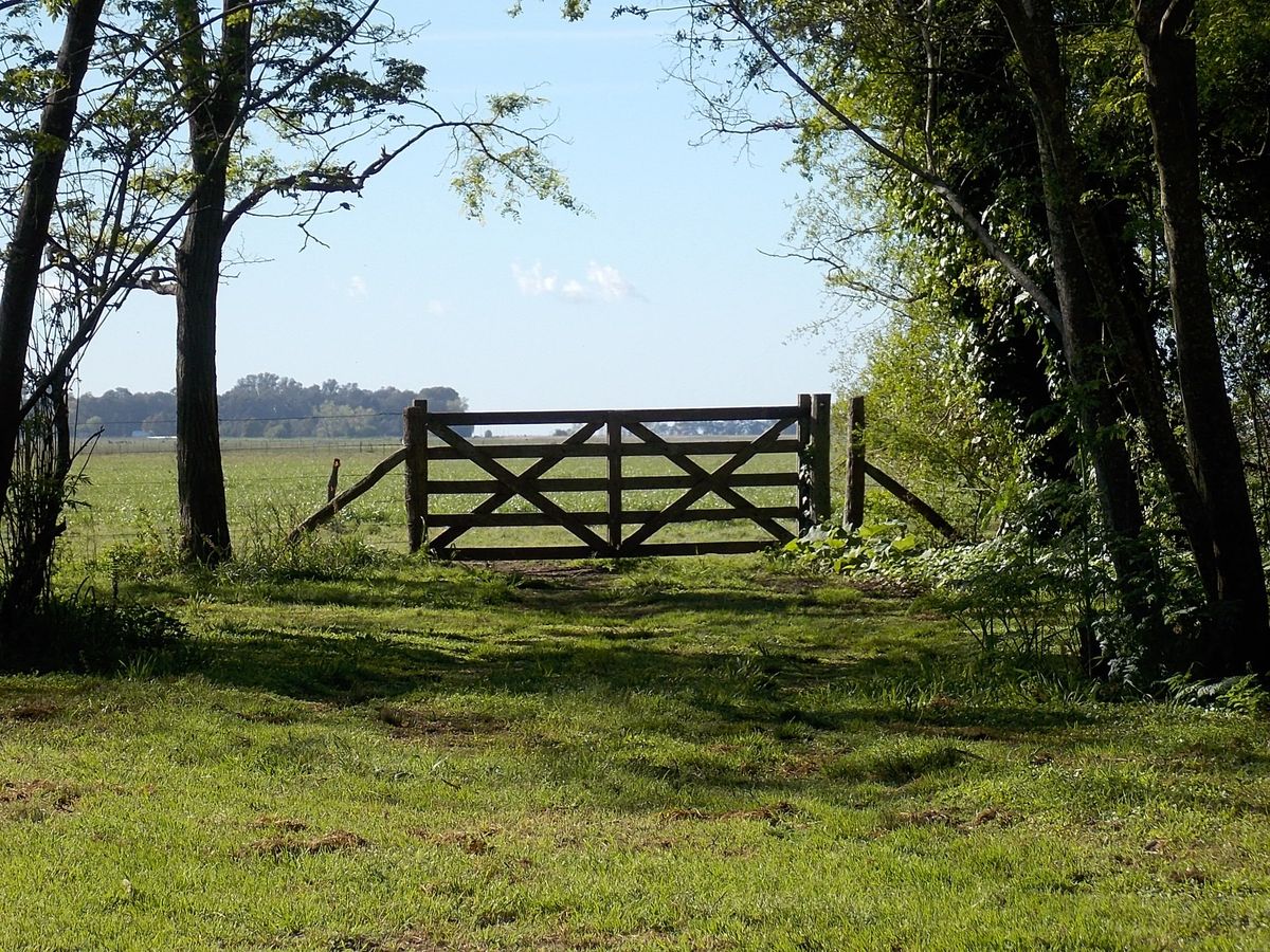 Brutal femicidio: un peón rural mató a su pareja y le envió la foto del cuerpo por WhatsApp a los familiares Brutal femicidio: un peón rural mató a su pareja y le envió la foto del cuerpo por WhatsApp a los familiares