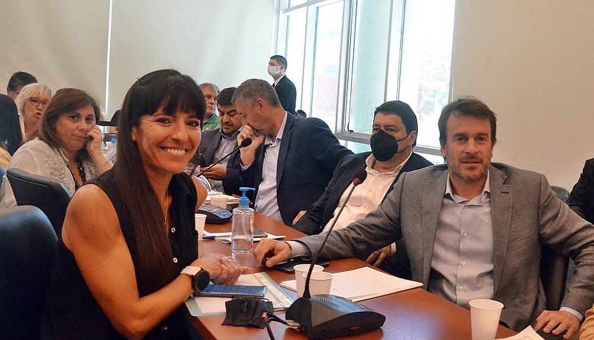 Lisandro Nieri y Pamela Verasay, dos de los diputados nacionales de JxC en el Congreso. Ambos fueron críticos con la alusión a una