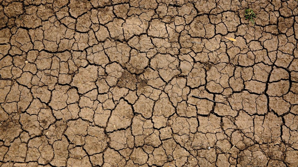 (Foto: Unsplash) (Foto: Unsplash)