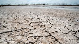 El proyecto de ley de protección de humedales avanza en la Legislatura de Mendoza. Mientras, la Laguna del Viborón refleja el peligro que sufren por la sequía histórica.