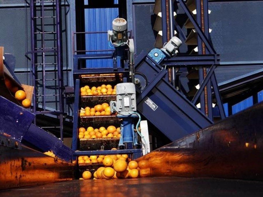 La fábrica de jugos de Villa del Rosario comenzó a procesar fruta de la zona