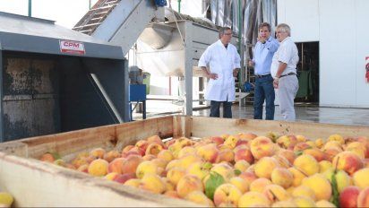 La pulpera de San Rafael arrancó con su primera producción en el 2017.