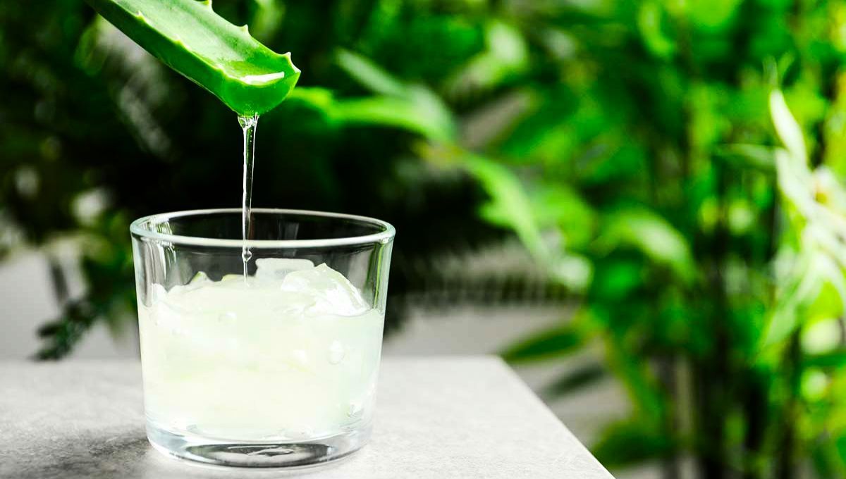 La planta de aloe vera puede ser lo primero que consumas en las mañanas