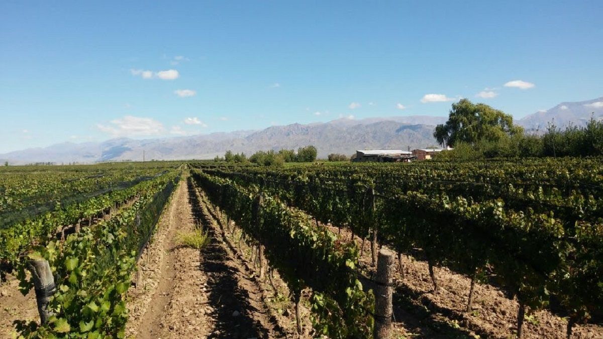 Brometan estará presente en la próxima edición de Sitevinitech, que se llevará a cabo del 15 al 17 de mayo.