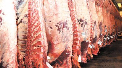 Se prorrogó hasta el primero de marzo próximo el plazo para que las plantas frigoríficas puedan exportar a Europa carne vacuna de la denominada Cuota Hilton. 