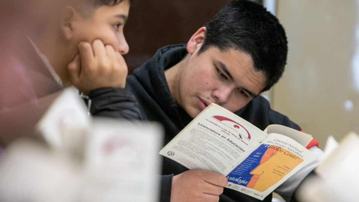 La DGE pone a prueba la lectura de 315.000 alumnos y apunta a quebrar el 10% crítico