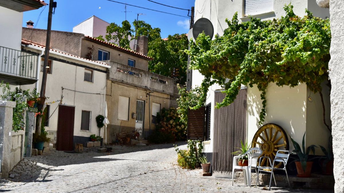 Los recreos en Vale de Madeira tienen lugar en el frente de las casas, bajo el amparo de las plantas. Los recreos en Vale de Madeira tienen lugar en el frente de las casas, bajo el amparo de las plantas.