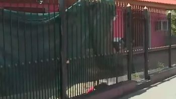 Una adolescente asesinó a puñaladas a su novio, llamó a la Policía y se escapó Una adolescente asesinó a puñaladas a su novio, llamó a la Policía y se escapó