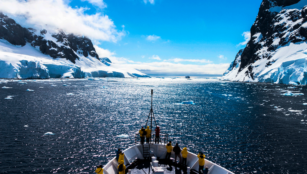 Un dron submarino realizó un impactante descubrimiento en la Antártida