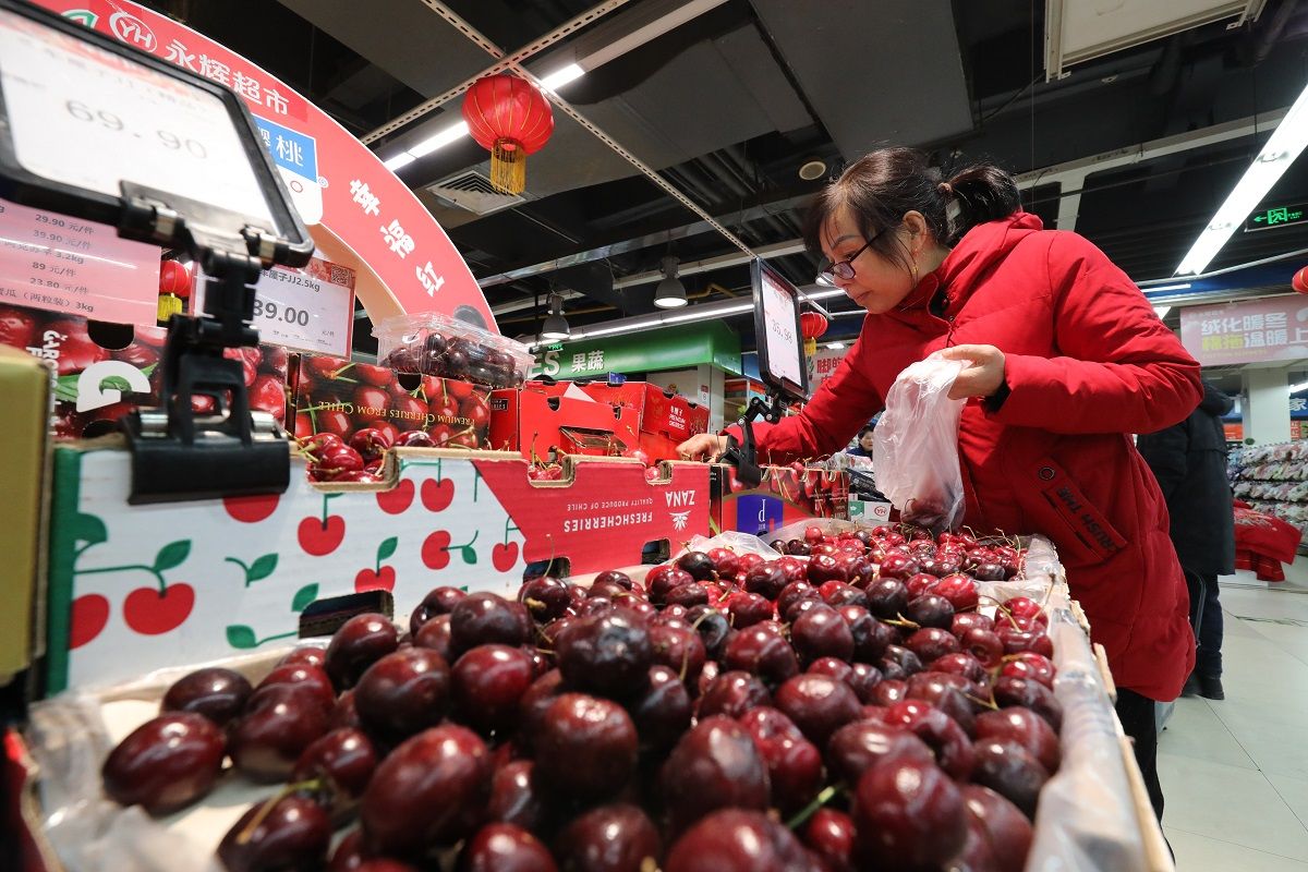Una consumidora compra cerezas chilenas en un supermercado de Chongqing. SUN KAIFANG / PARA CHINA DAILY   