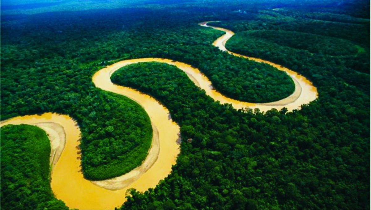 El río Amazonas, además de ser el más largo del mundo, tiene características únicas que lo convierten en uno de los más impresionantes del planeta. Fuente: Fundación Aquae. El río Amazonas, además de ser el más largo del mundo, tiene características únicas que lo convierten en uno de los más impresionantes del planeta. Fuente: Fundación Aquae.