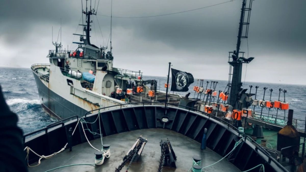 Foto: The Outlaw Ocean Project Foto: The Outlaw Ocean Project