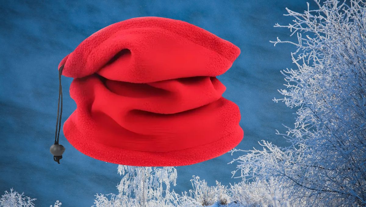 Los cuellitos de polar son la pieza ideal para el invierno. Los cuellitos de polar son la pieza ideal para el invierno.