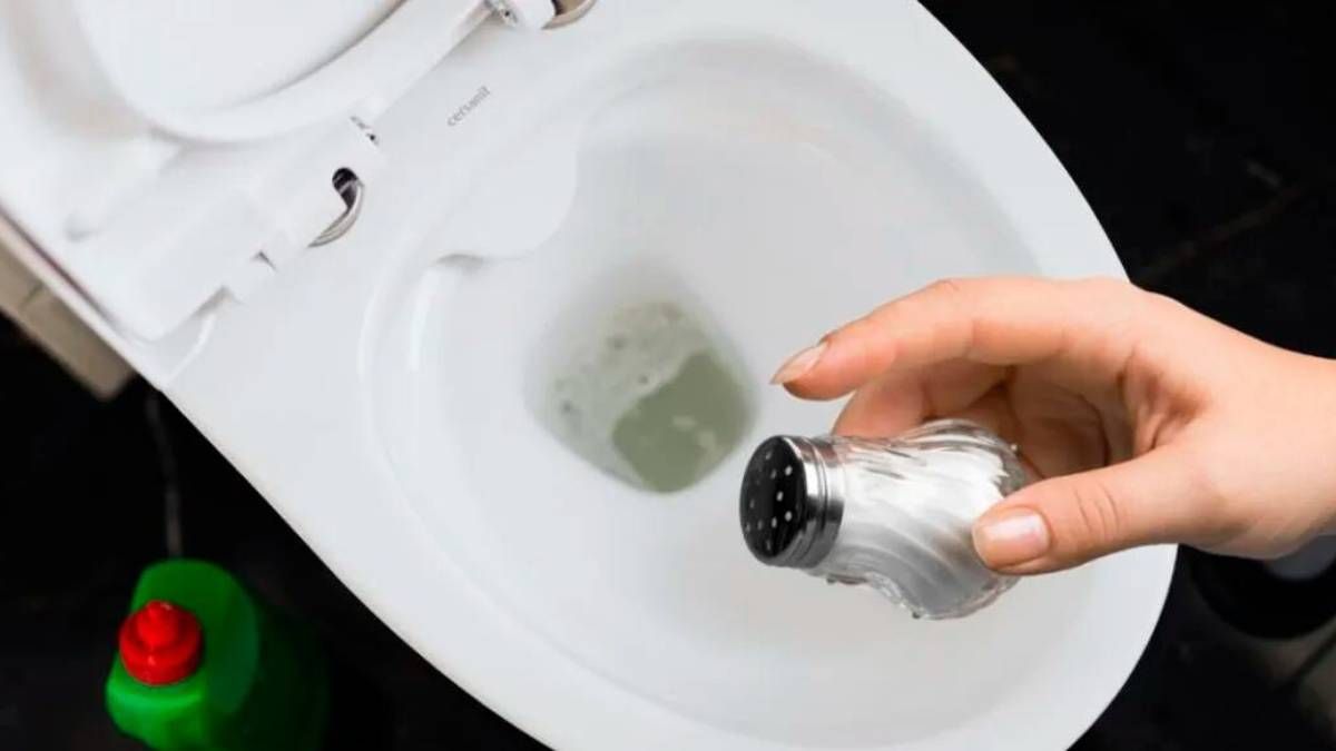 Por qué es necesario poner sal todas las noches al inodoro