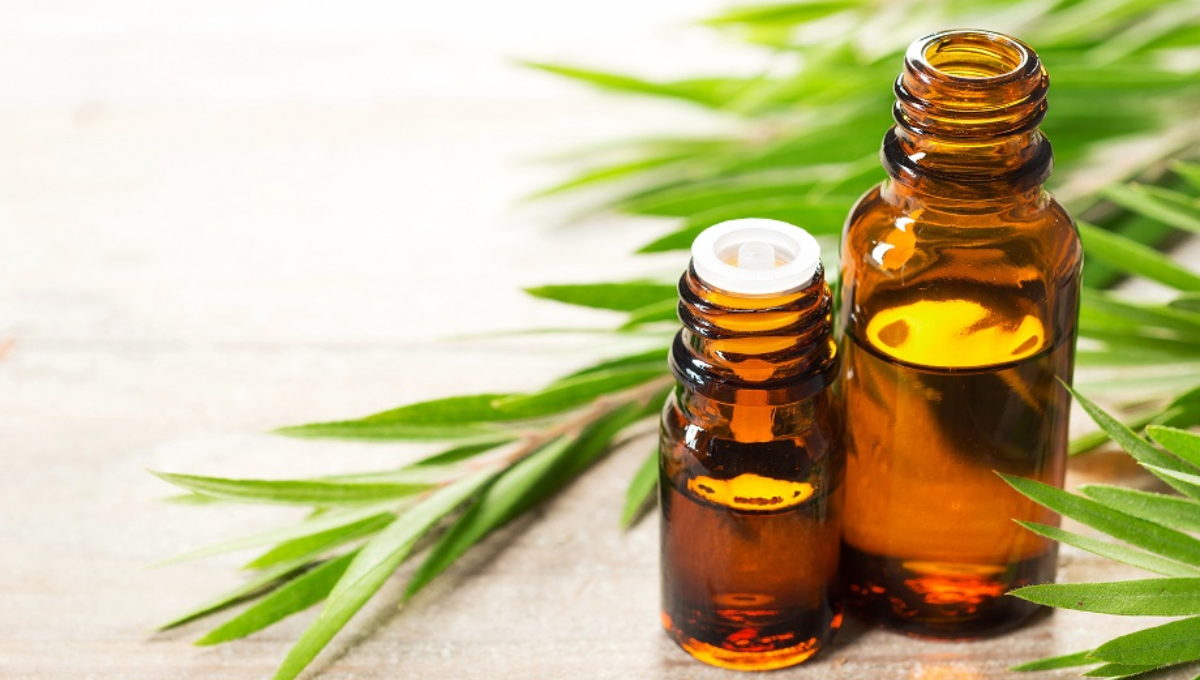 El milagroso aceite que le da el brillo y salud a tu cabello