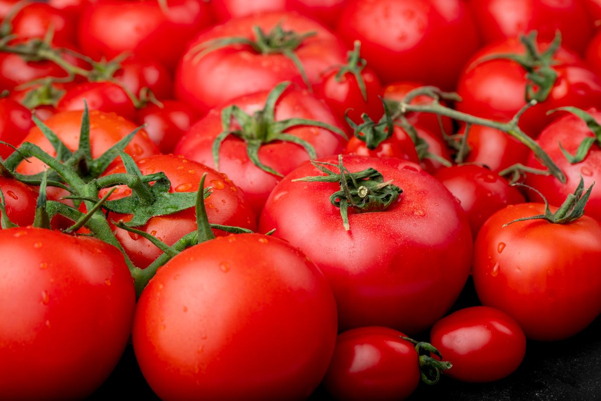 Receta: aprende a realizar unos deliciosos tomates confitados
