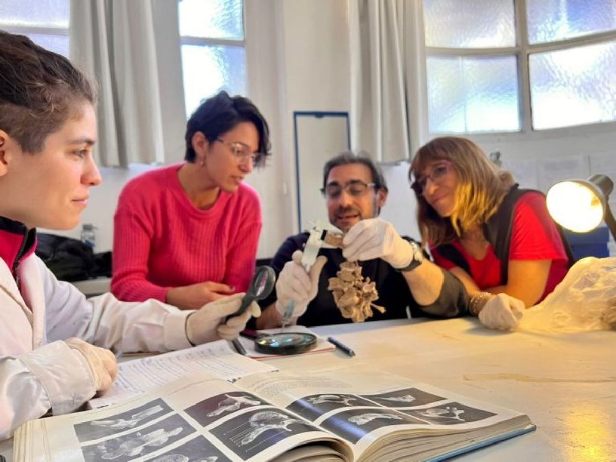 El centenario Museo Juan Cornelio Moyano recibe la visita de investigadores de todo el país gracias a sus colecciones de ciencias naturales y antropológicas.