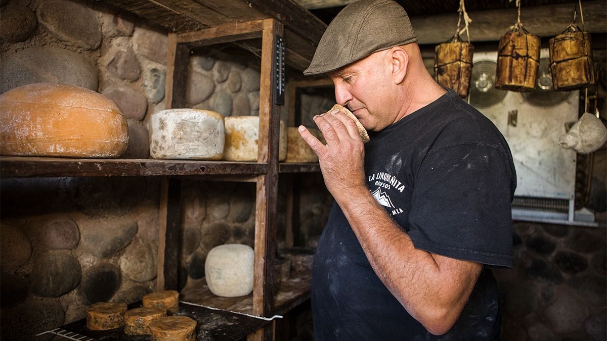 Schiavi en la cava, donde diversas piezas de queso avanzan en el proceso de maduración.