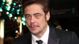 Benicio del Toro defendió su orgullo latino