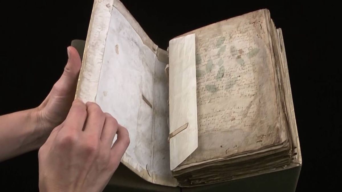 ¿Descubrimiento histórico?: creen haber encontrado la clave para descifrar el manuscrito más misterioso
