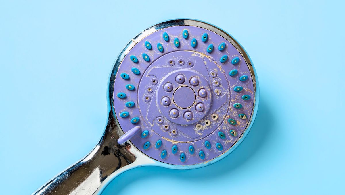 El sarro daña las superficies y tapa los orificios de la ducha El sarro daña las superficies y tapa los orificios de la ducha