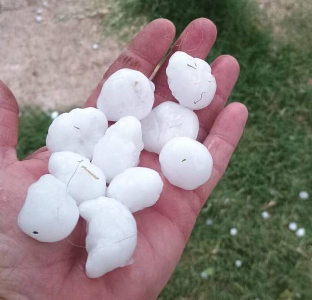 Granizo de grandes dimensiones afectó la zona rural de el Valle de Uco. Foto: Gentileza InfoCuco.