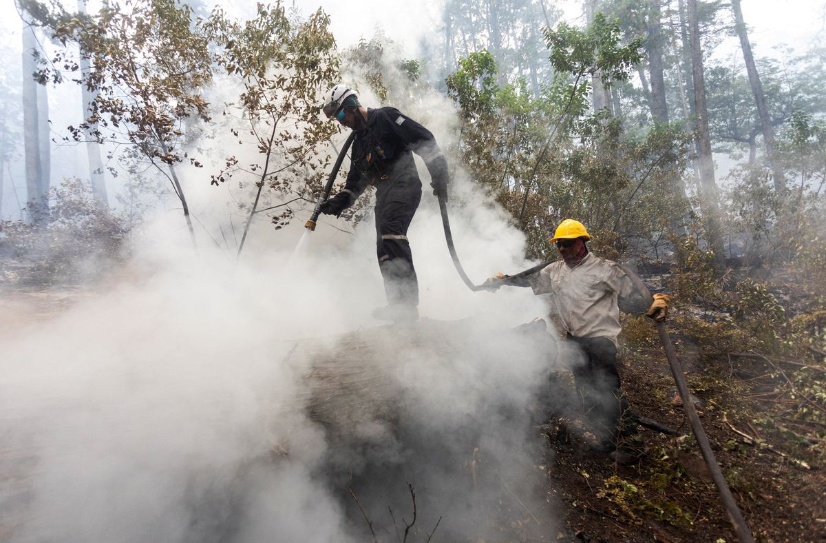 El calor y el viento reavivaron los incendios forestales en el sur del país