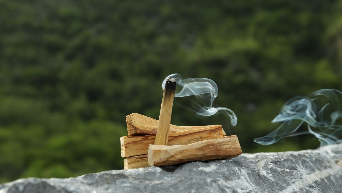 ¿Qué días de la semana debes prender un palo santo?