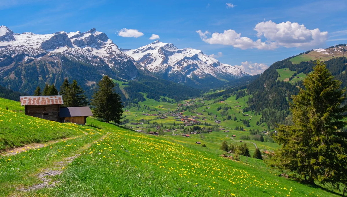 La naturaleza en este país es inigualable. La naturaleza en este país es inigualable.