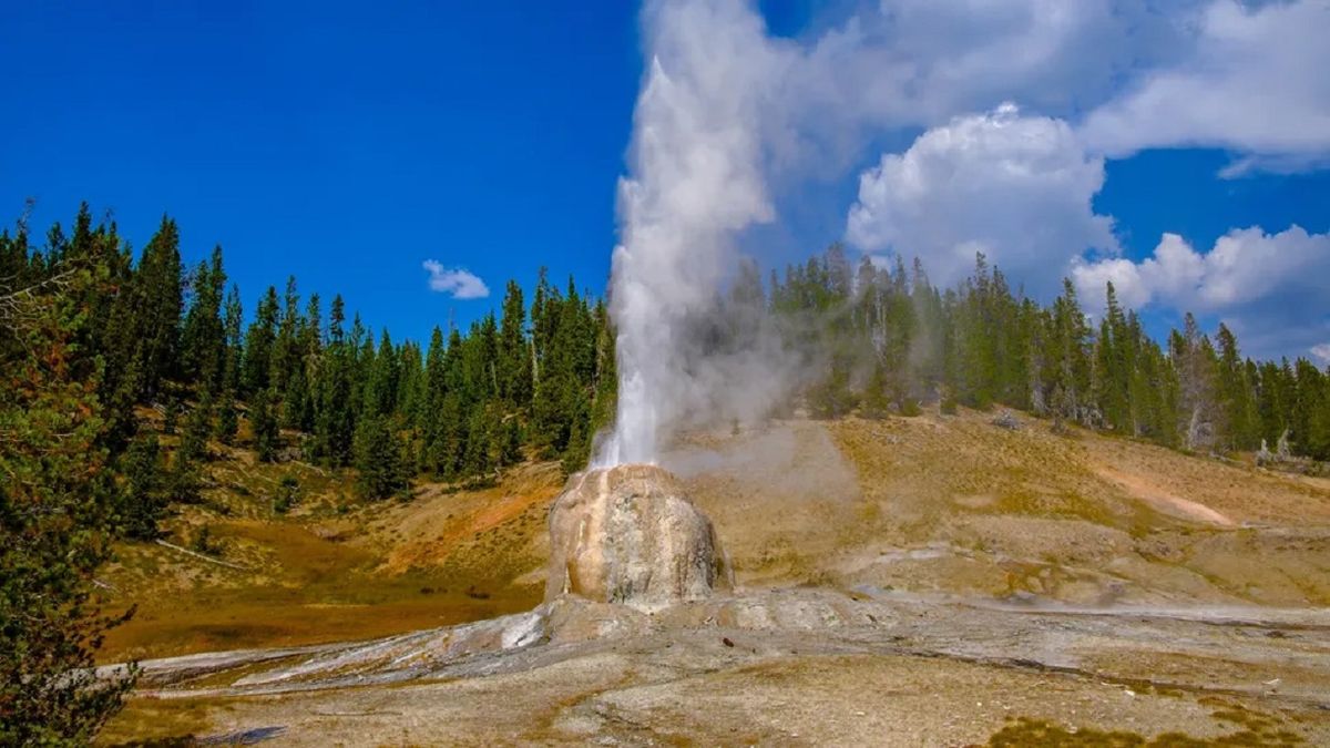 El accidente se produjo en una zona con aguas calientes del famoso parque.