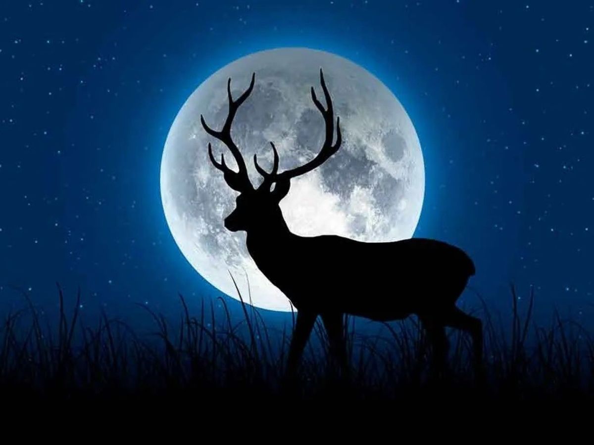 Luna de Ciervo, el sorprendente fenómeno astronómico que podrá verse en el cielo de julio Luna de Ciervo, el sorprendente fenómeno astronómico que podrá verse en el cielo de julio