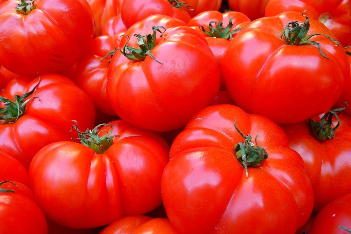Los grandes beneficios de comer tomate