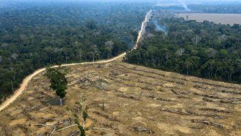 Amazonía: la deforestación empieza el año con tasas récord y podría alcanzar peores niveles que en 2019