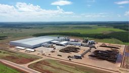 Argentina construye el aserradero más moderno para la industria de madera argentina en América Latina Argentina construye el aserradero más moderno para la industria de madera argentina en América Latina